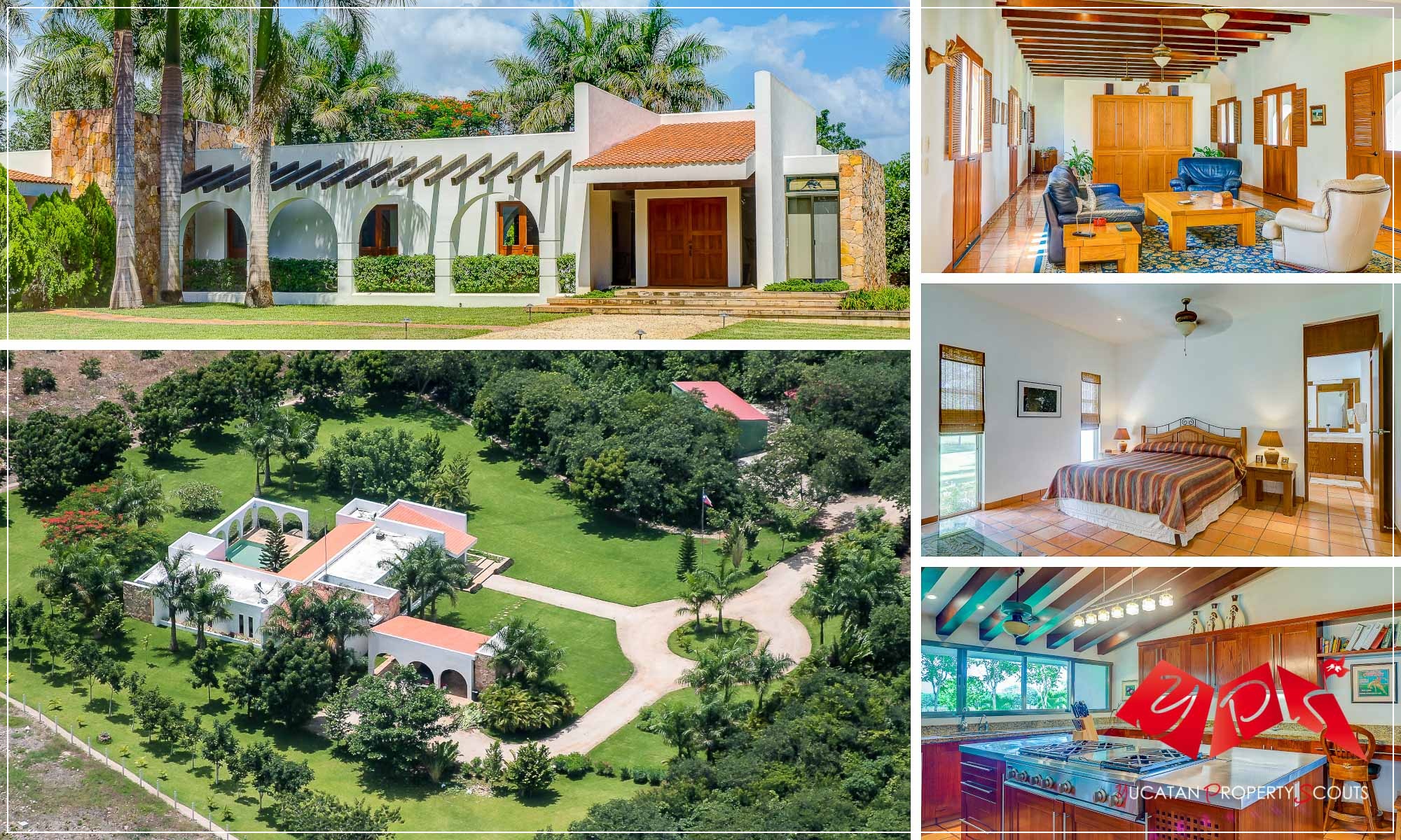 FANTASTIC HACIENDA SAN FILEMON LUXURIOUS WORKING LIME AND AVOCADO